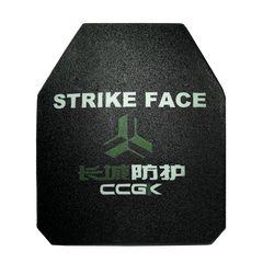 SiC BALLISTIC PLATE